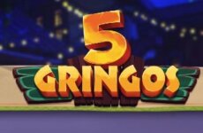 5gringos Logo